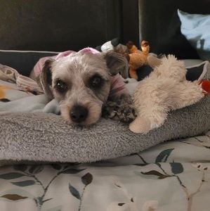 Meet your Posher, Lori